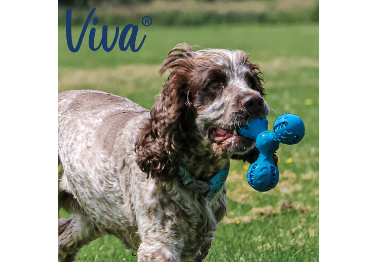 Viva Treat Triangle Toy